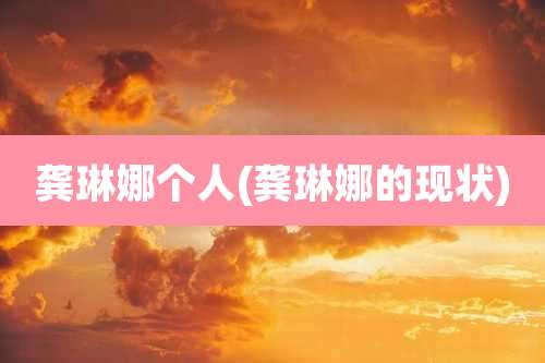 龚琳娜个人(龚琳娜的现状)