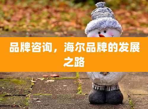 品牌咨询,海尔品牌的发展之路