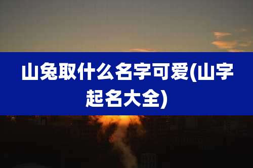 山兔取什么名字可爱(山字起名大全)
