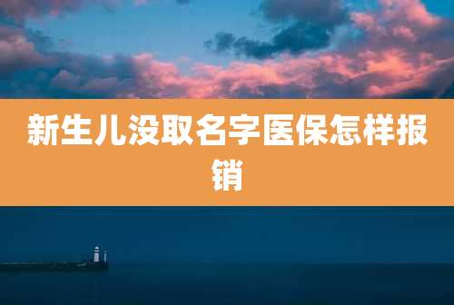 新生儿没取名字医保怎样报销