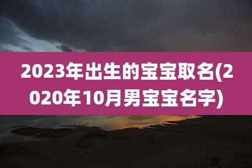 2023年出生的宝宝取名(2020年10月男宝宝名字)