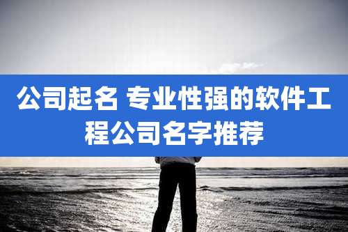公司起名 专业性强的软件工程公司名字推荐