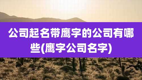 公司起名带鹰字的公司有哪些(鹰字公司名字)