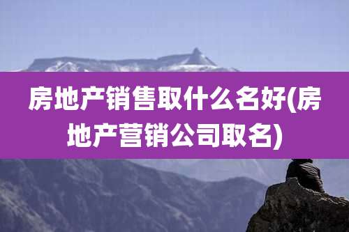 房地产销售取什么名好(房地产营销公司取名)