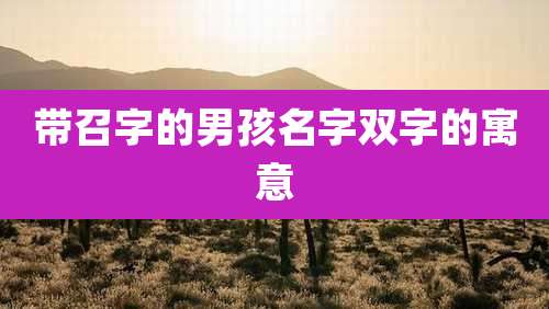 带召字的男孩名字双字的寓意