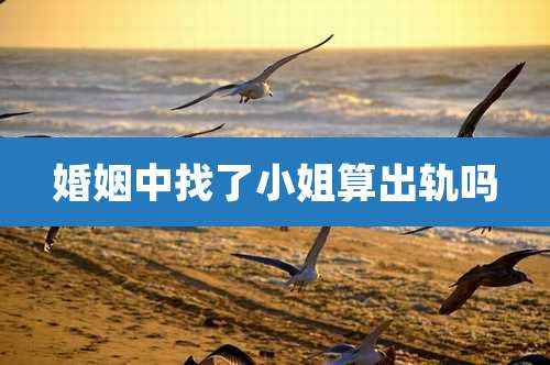 婚姻中找了小姐算出轨吗