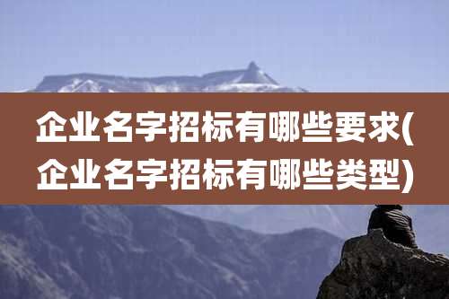 企业名字招标有哪些要求(企业名字招标有哪些类型)