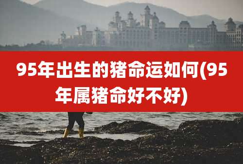 95年出生的猪命运如何(95年属猪命好不好)