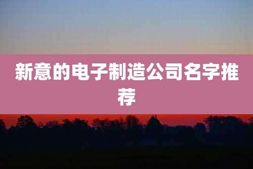 新意的电子制造公司名字推荐