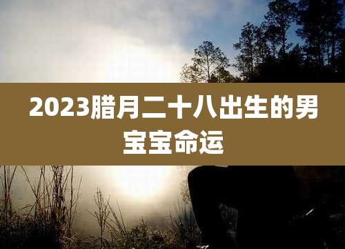 2023腊月二十八出生的男宝宝命运