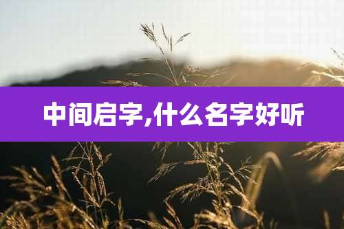 中间启字,什么名字好听