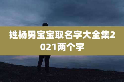 姓杨男宝宝取名字大全集2021两个字