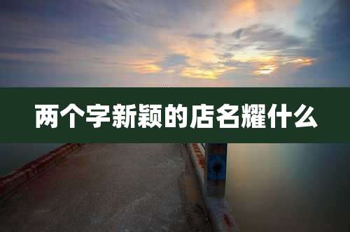 两个字新颖的店名耀什么
