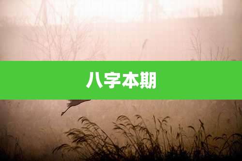 八字本期