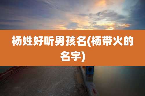 杨姓好听男孩名(杨带火的名字)