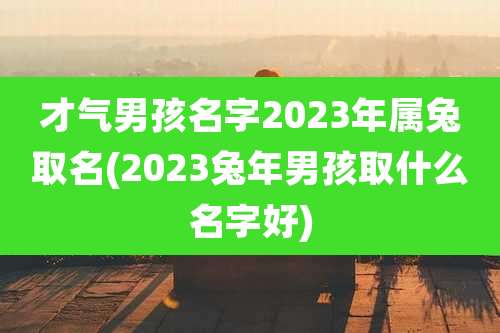 才气男孩名字2023年属兔取名(2023兔年男孩取什么名字好)