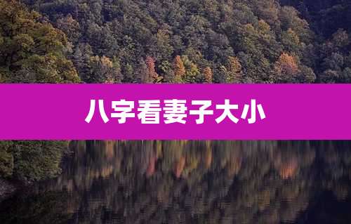 八字看妻子大小