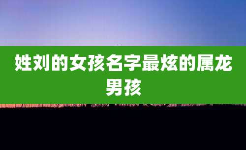 姓刘的女孩名字最炫的属龙男孩