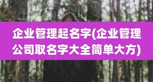 企业管理起名字(企业管理公司取名字大全简单大方)
