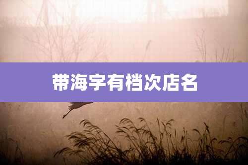 带海字有档次店名