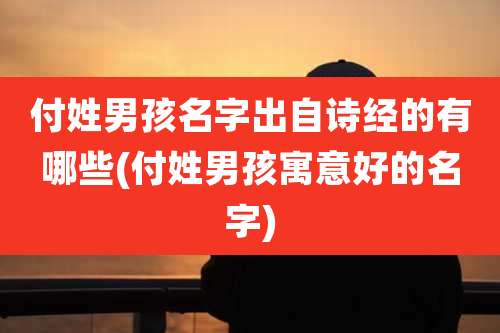 付姓男孩名字出自诗经的有哪些(付姓男孩寓意好的名字)