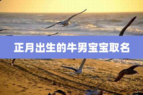 正月出生的牛男宝宝取名