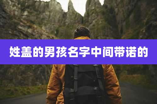 姓盖的男孩名字中间带诺的