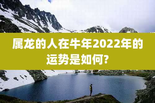 属龙的人在牛年2022年的运势是如何?