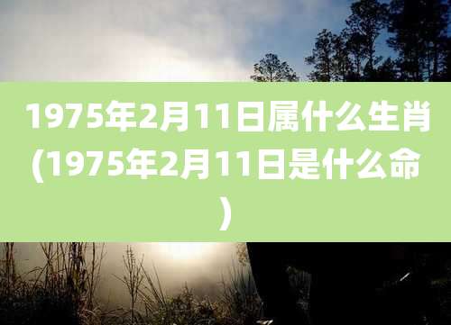1975年2月11日属什么生肖(1975年2月11日是什么命)
