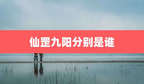 仙罡九阳分别是谁
