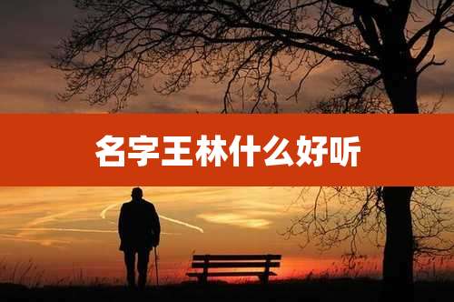 名字王林什么好听