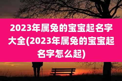 2023年属兔的宝宝起名字大全(2023年属兔的宝宝起名字怎么起)