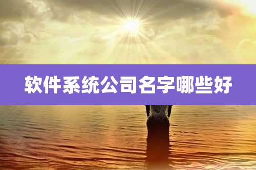 软件系统公司名字哪些好