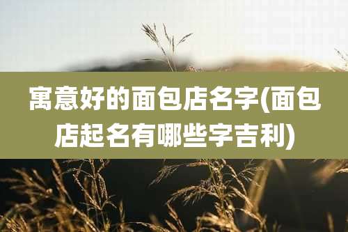 寓意好的面包店名字(面包店起名有哪些字吉利)