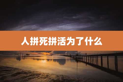 人拼死拼活为了什么