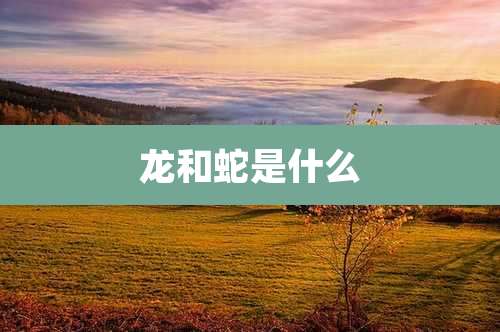 龙和蛇是什么