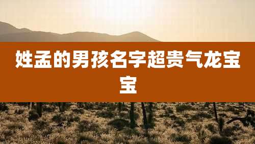 姓孟的男孩名字超贵气龙宝宝
