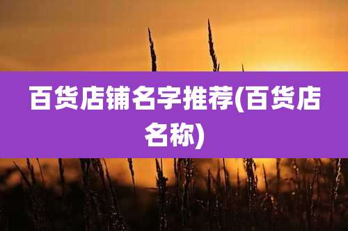 百货店铺名字推荐(百货店名称)