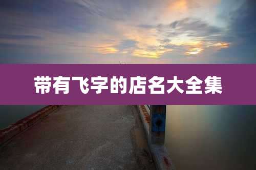带有飞字的店名大全集