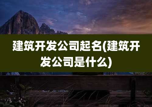 建筑开发公司起名(建筑开发公司是什么)