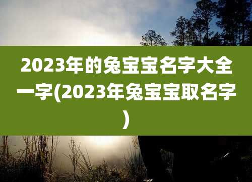 2023年的兔宝宝名字大全一字(2023年兔宝宝取名字)