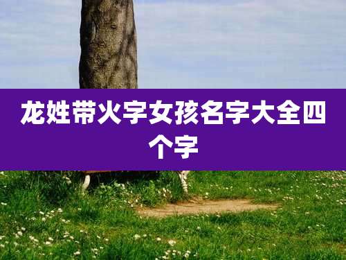 龙姓带火字女孩名字大全四个字