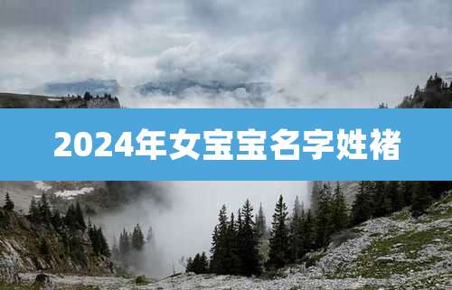 2024年女宝宝名字姓褚