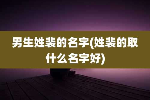 男生姓裴的名字(姓裴的取什么名字好)