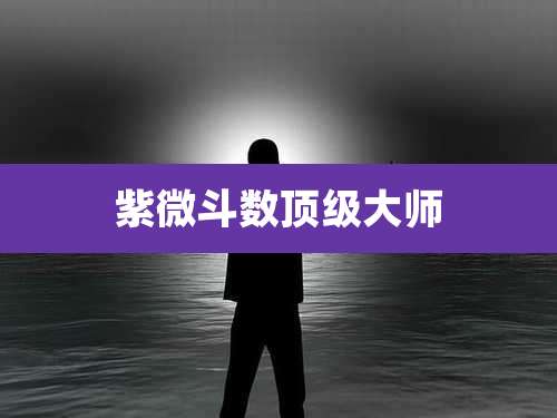 紫微斗数顶级大师