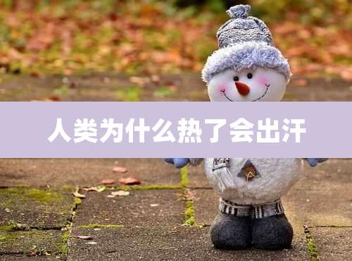 人类为什么热了会出汗