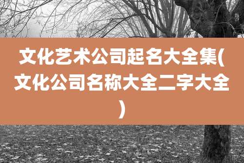 文化艺术公司起名大全集(文化公司名称大全二字大全)