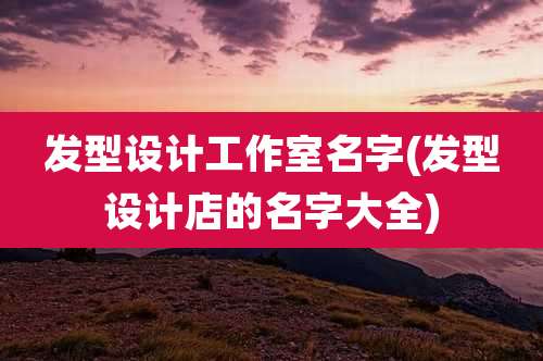 发型设计工作室名字(发型设计店的名字大全)