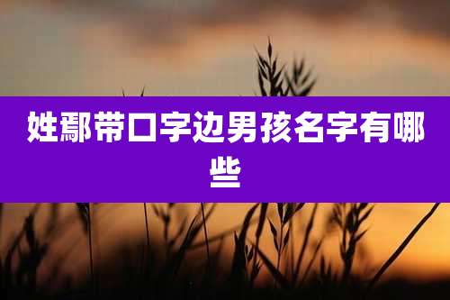 姓鄢带口字边男孩名字有哪些
