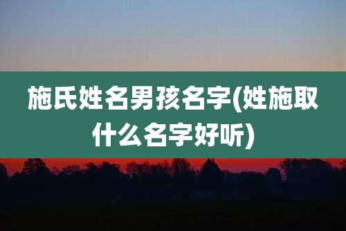 施氏姓名男孩名字(姓施取什么名字好听)